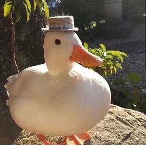 Meet your Posher, Alexander